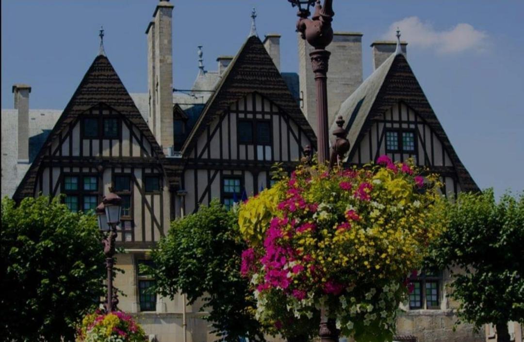 La Place Des Sacres, Proche Gare Et Centre Reims Ngoại thất bức ảnh